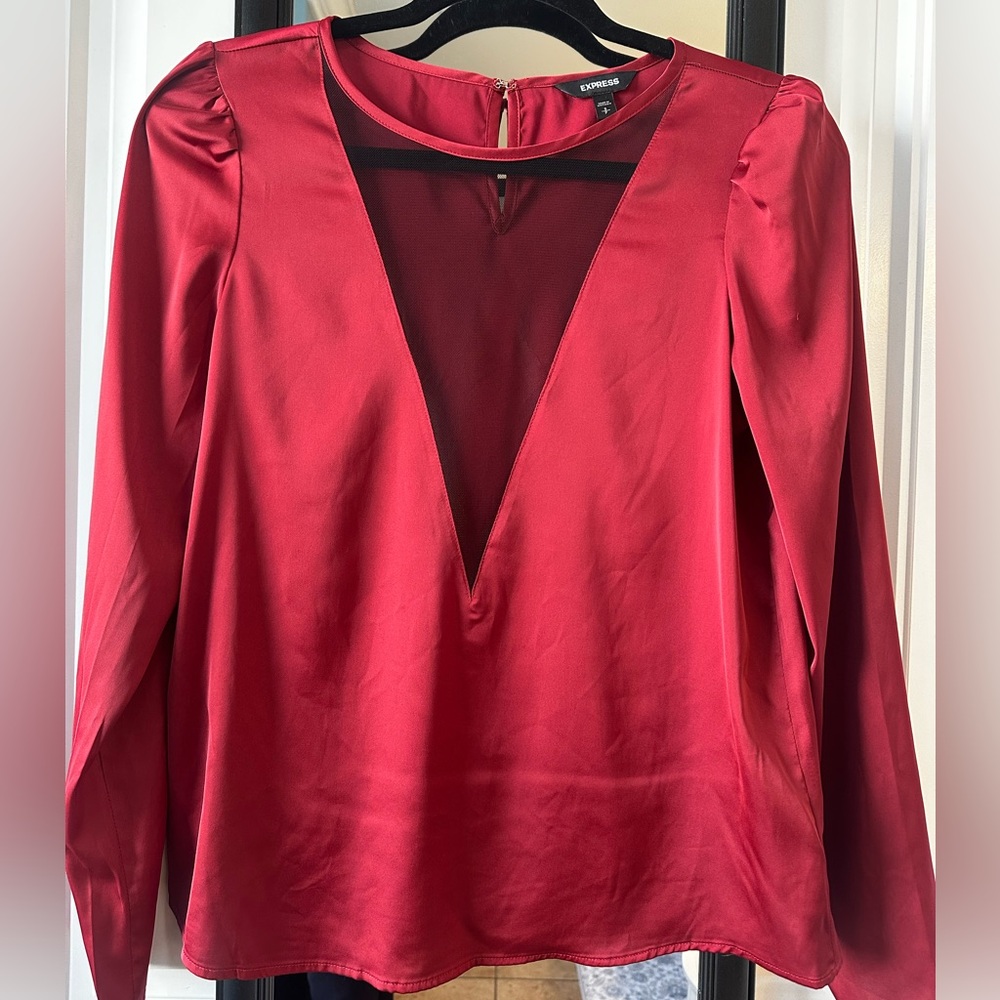 Express Sheer V-Neck Satin Blouse